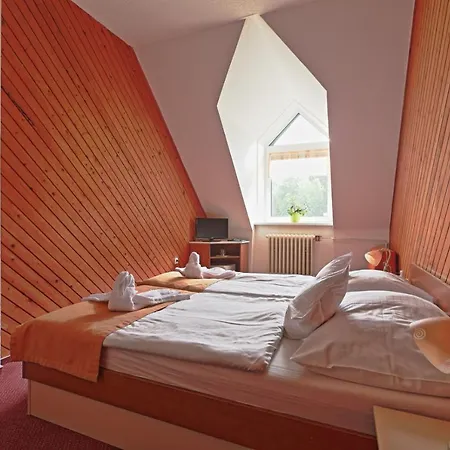 Hotel Skicentrum 3*